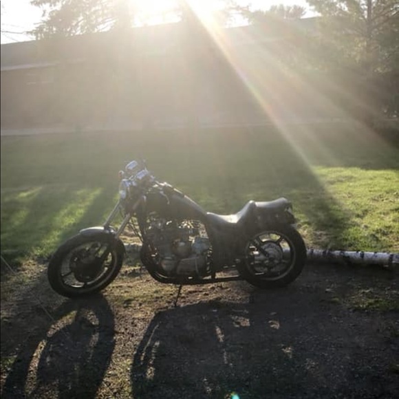 Meet your Posher, Riki - Picture 4 of 16